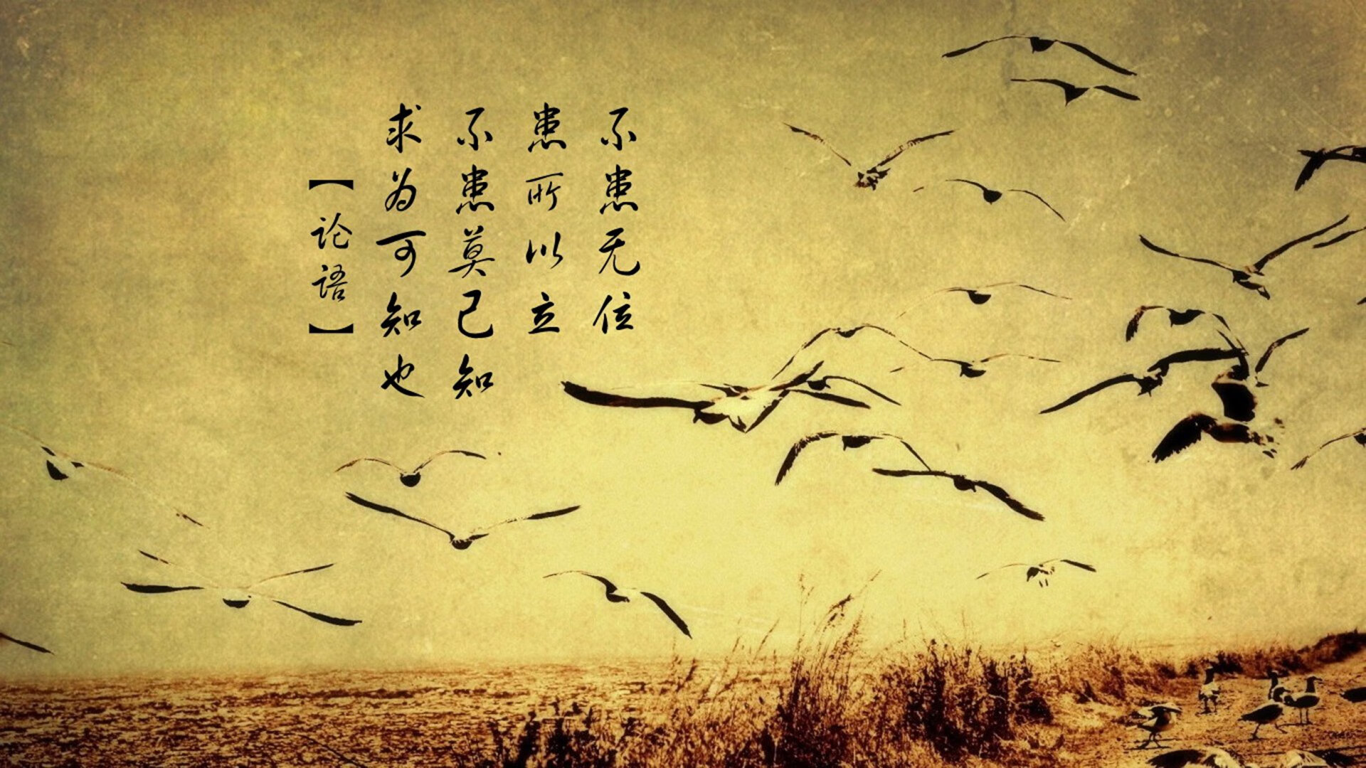 爱游戏娱乐-唯一性之战，当拉沃尔杯的集体血液注入ATP总决赛的孤独王座—解码西西帕斯的双重觉醒