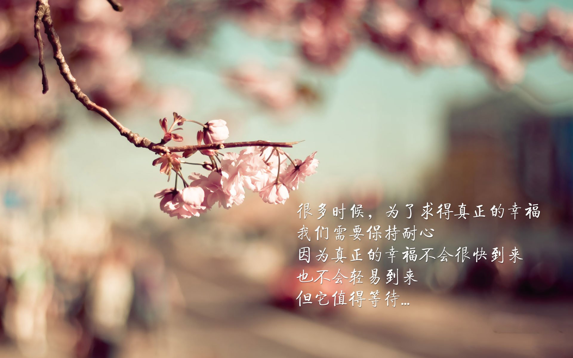 雪夜里的叛徒，当孙兴慜为爱尔兰戴上不属于他的王冠