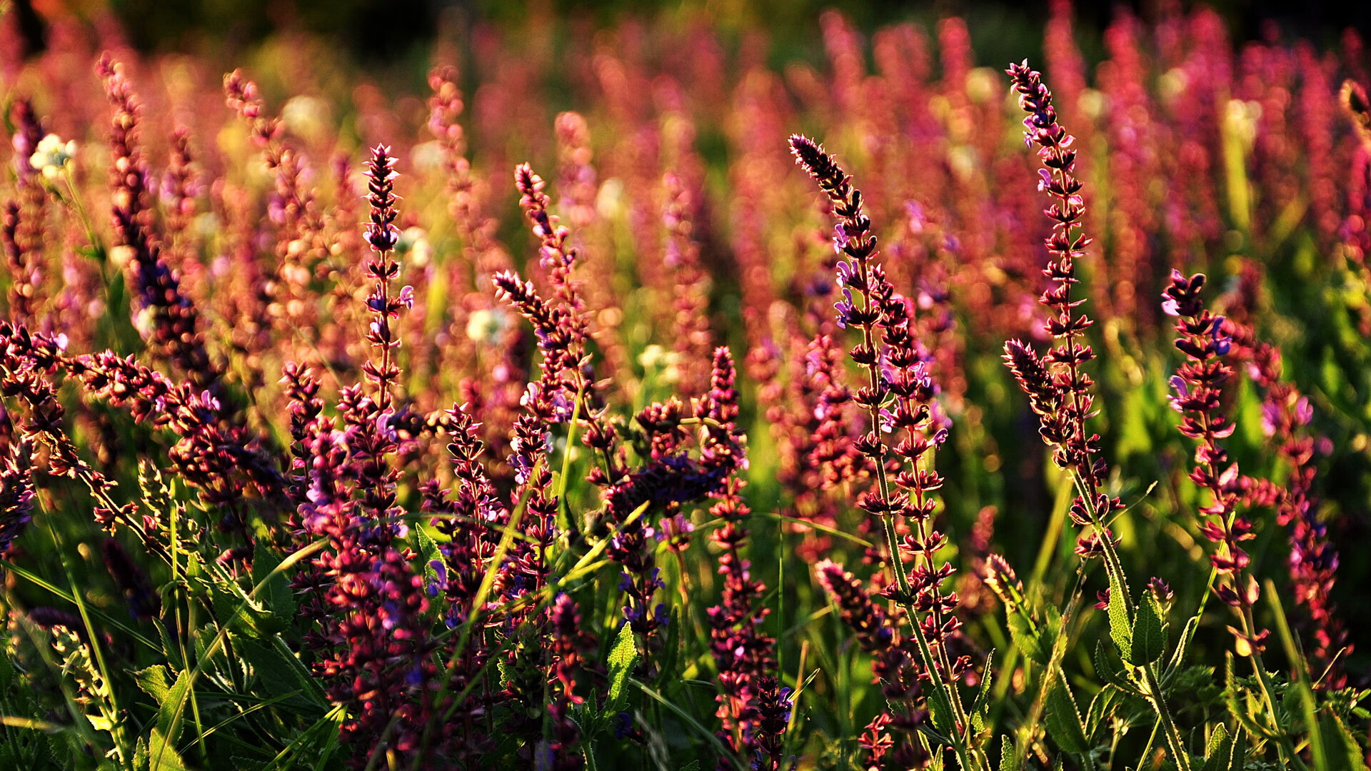 跨界乱纪元，当上海队于伯纳乌掀翻石佛圣城