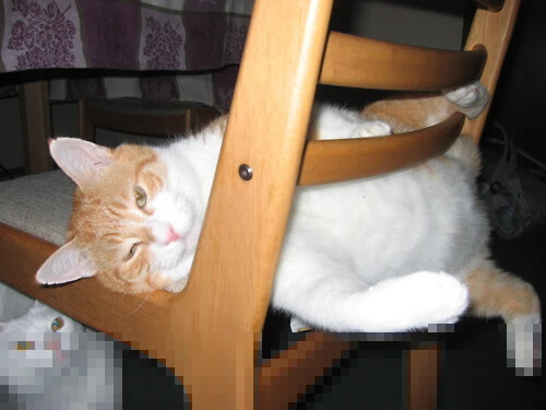 巴黎血拼，伊拉克奥运周期关键战，赖斯接管比赛