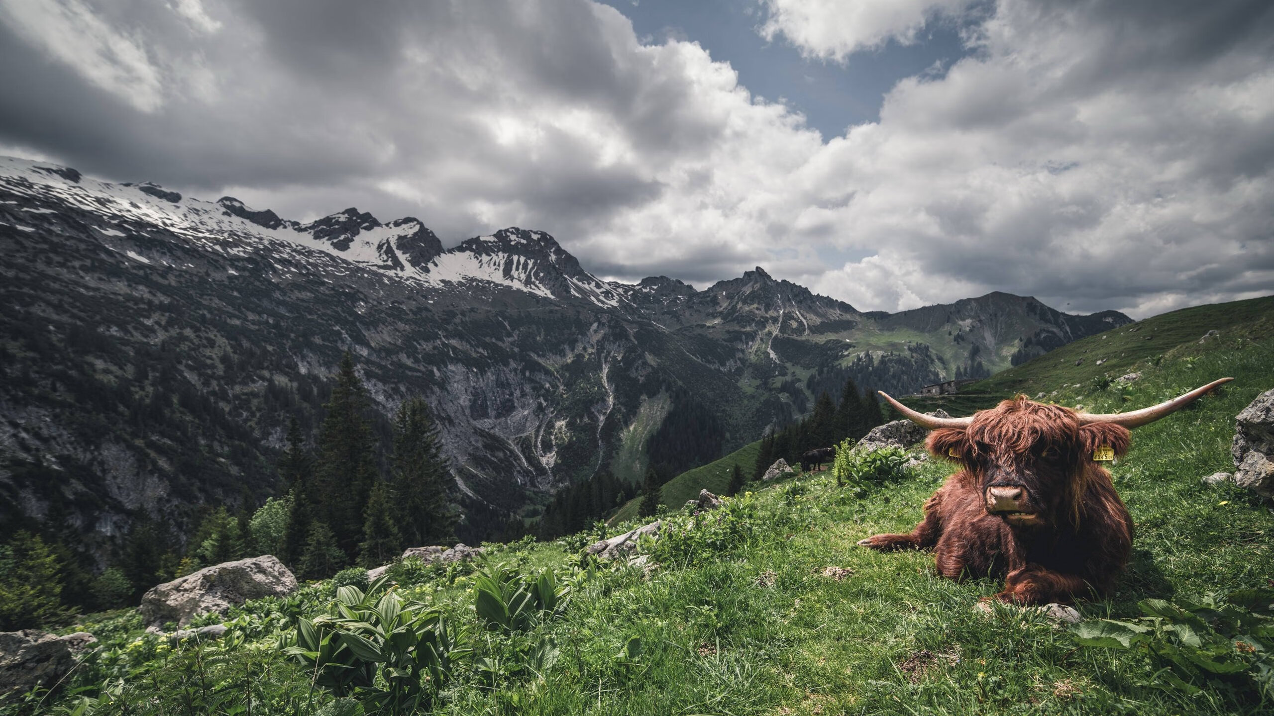跨界救世主，当NBA巨星莫兰特降临德甲争冠夜