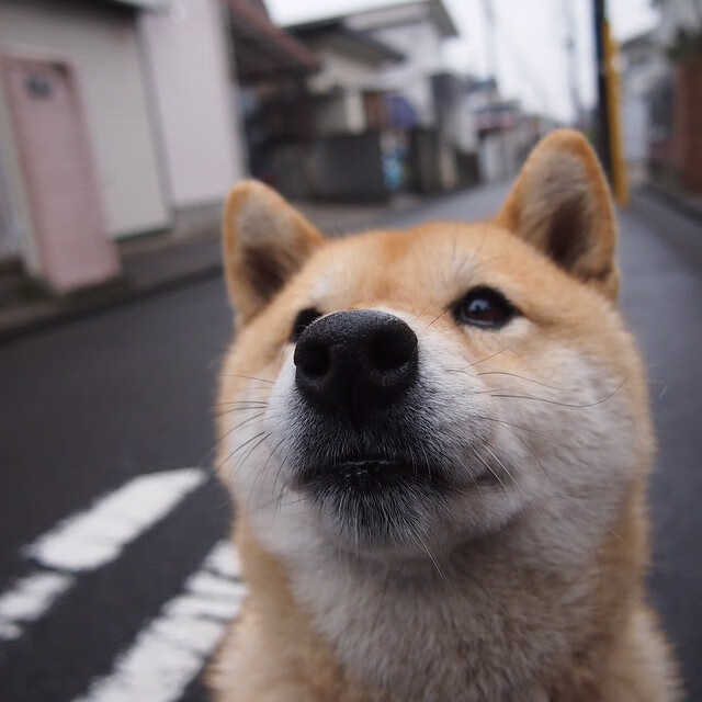 西决启示录，哥斯达黎加的暴雨与切尔西的过客