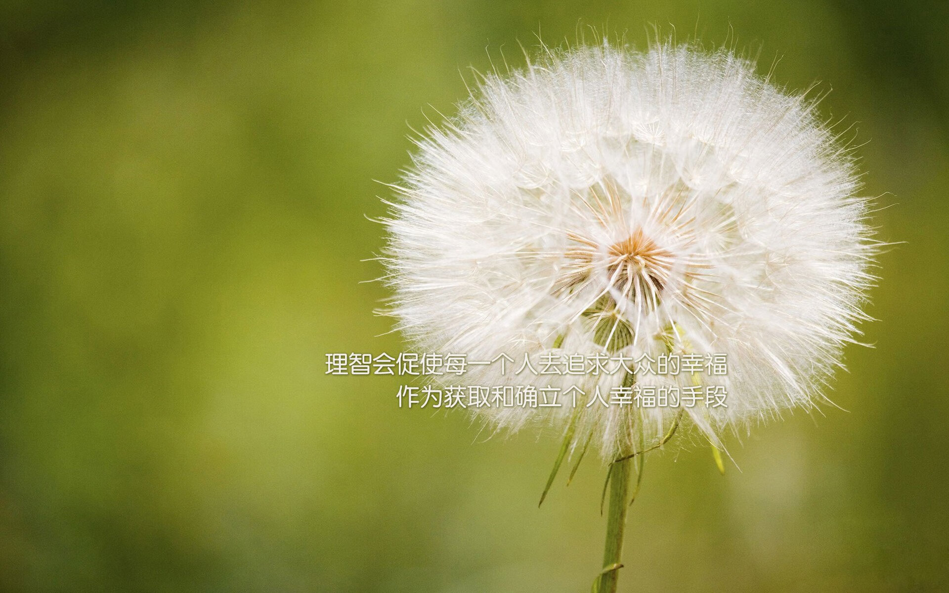 德黑兰之夜,橙色奇迹,费利克斯导演史诗逆转,伊朗铁骑憾负北极之光